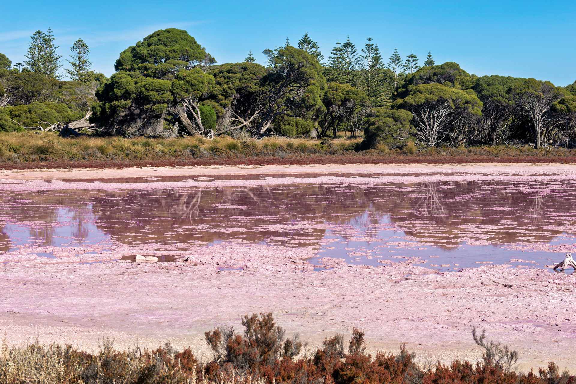 Rottnest Island - Pink Lake